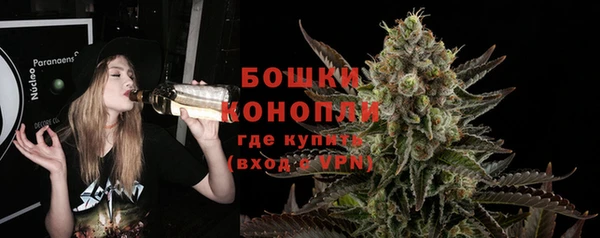 индика Куйбышев