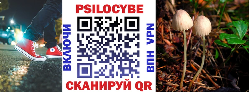 Псилоцибиновые грибы MAGIC MUSHROOMS  Купить  Урус-Мартан 